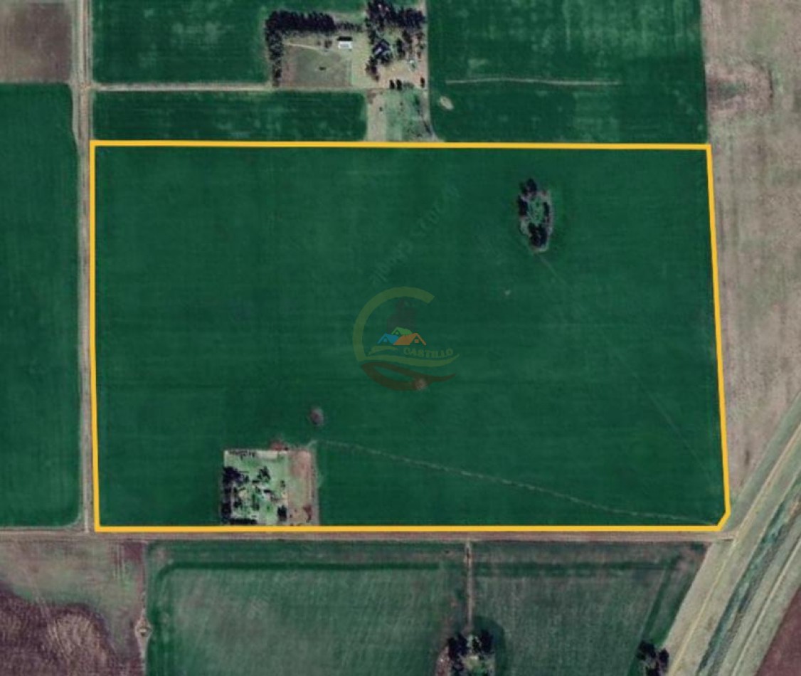 59,5 Ha Agricolas - Polvaredas - Saladillo