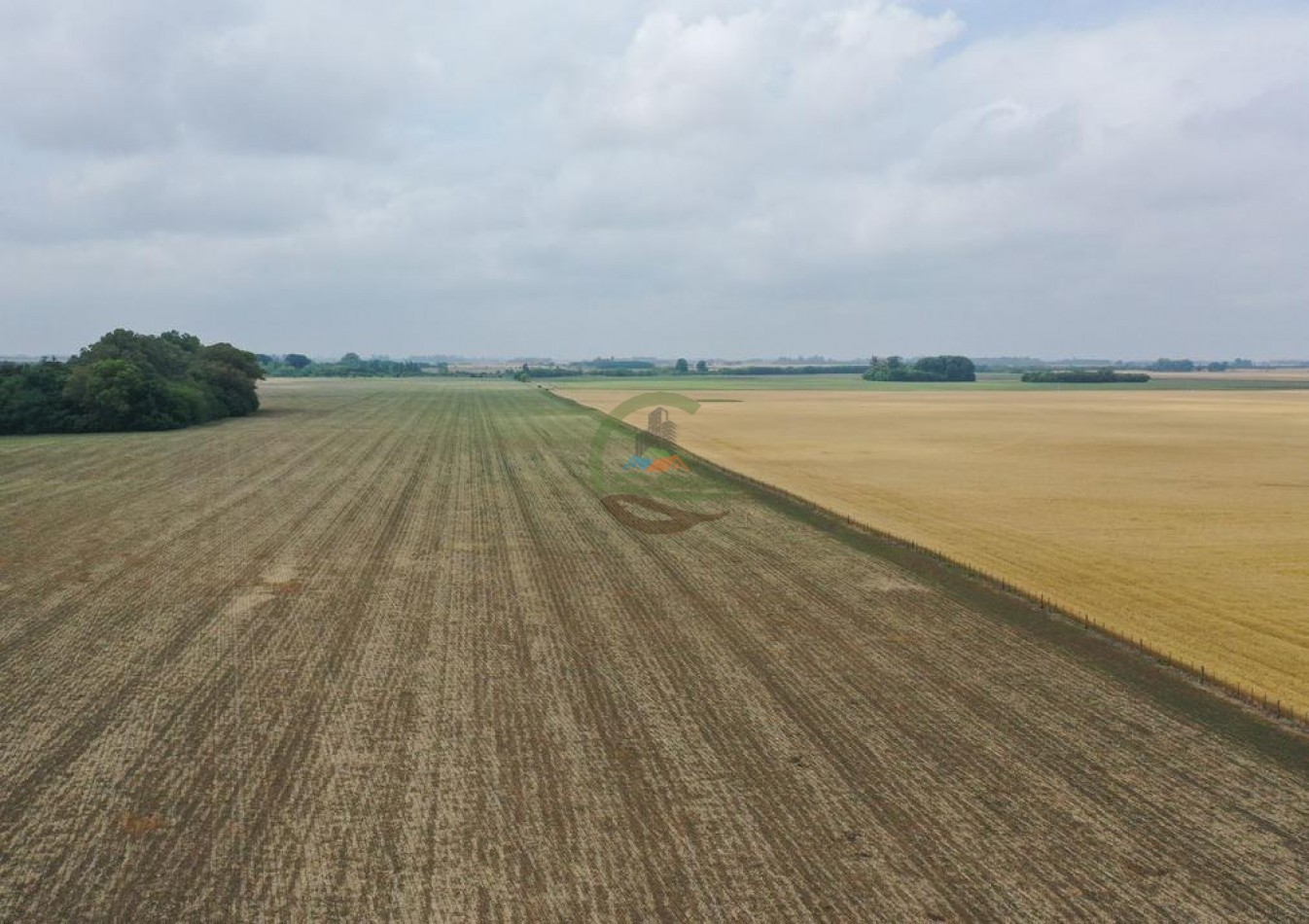 118 Ha Agricolas - Irala - Bragado
