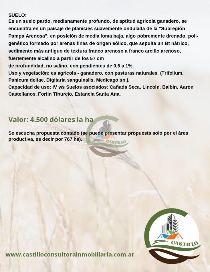 1012 ha Mixto - Gral Pinto