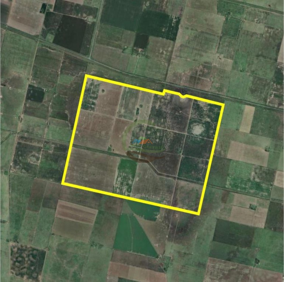 740 Ha Agricolas - Laboulaye - Cordoba