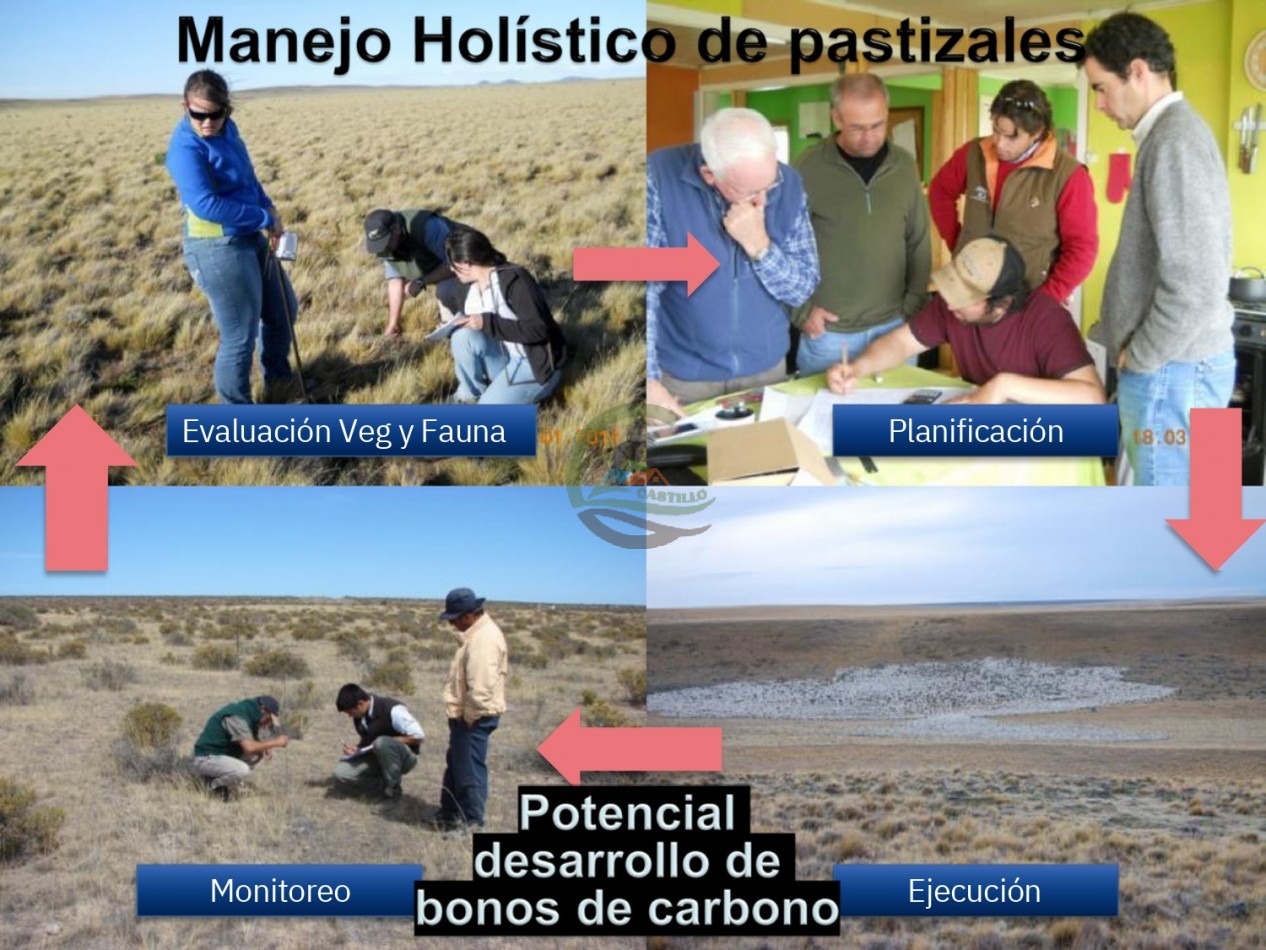 70000 ha Mixto - Rio Negro
