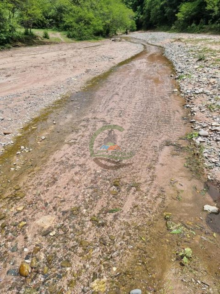 6000 Ha Mixtas - Anta - Salta