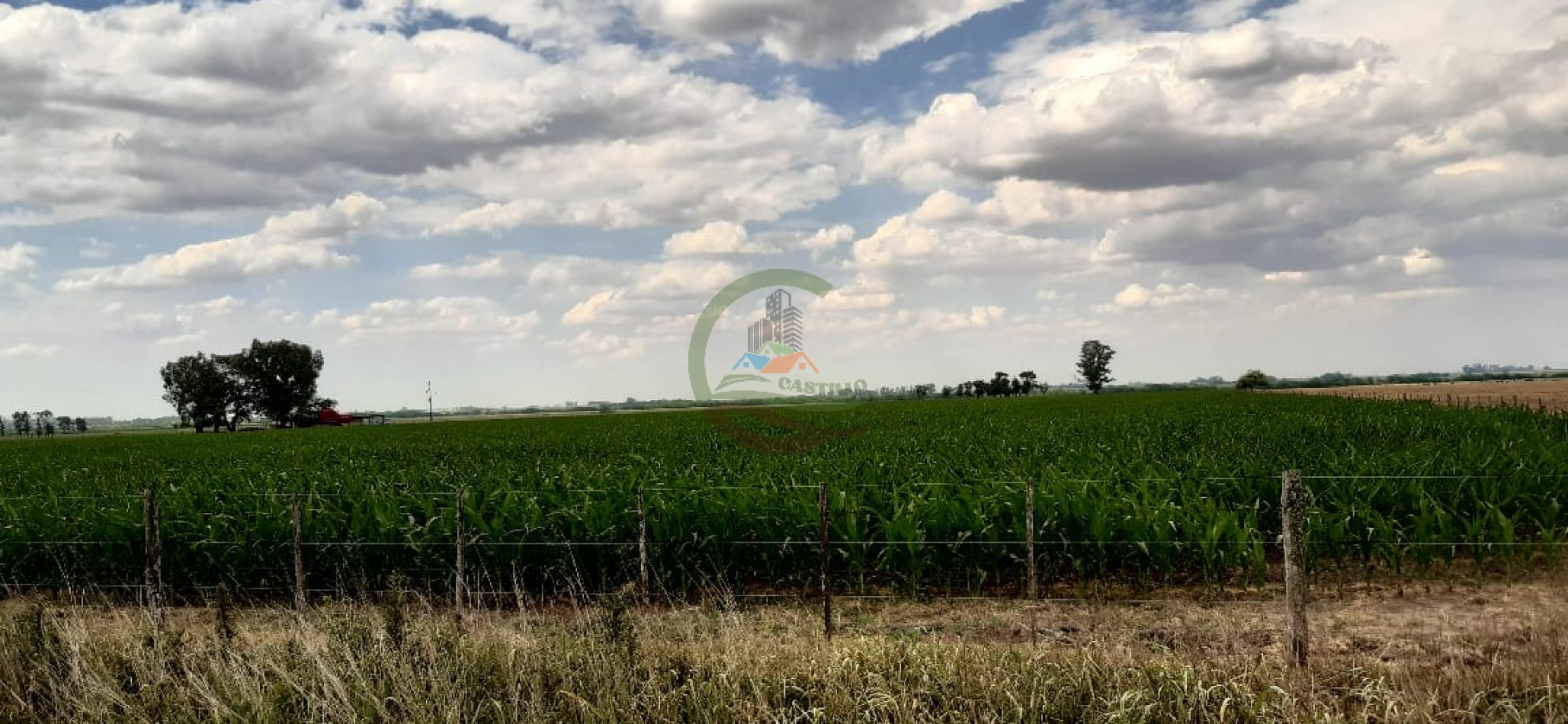 177 ha Mixtas - Pergamino 