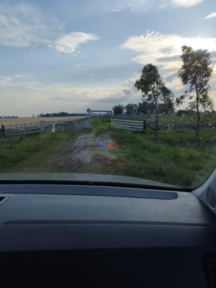 256 ha Mixto - Saladillo