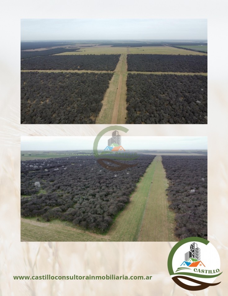1248 ha mixto - la pampa