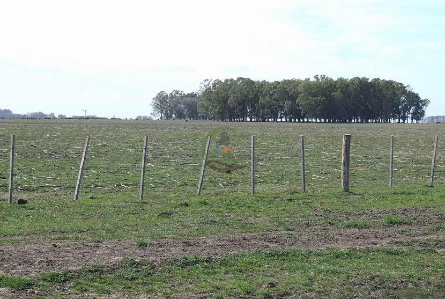 372 Ha Ganadero - Tapalque