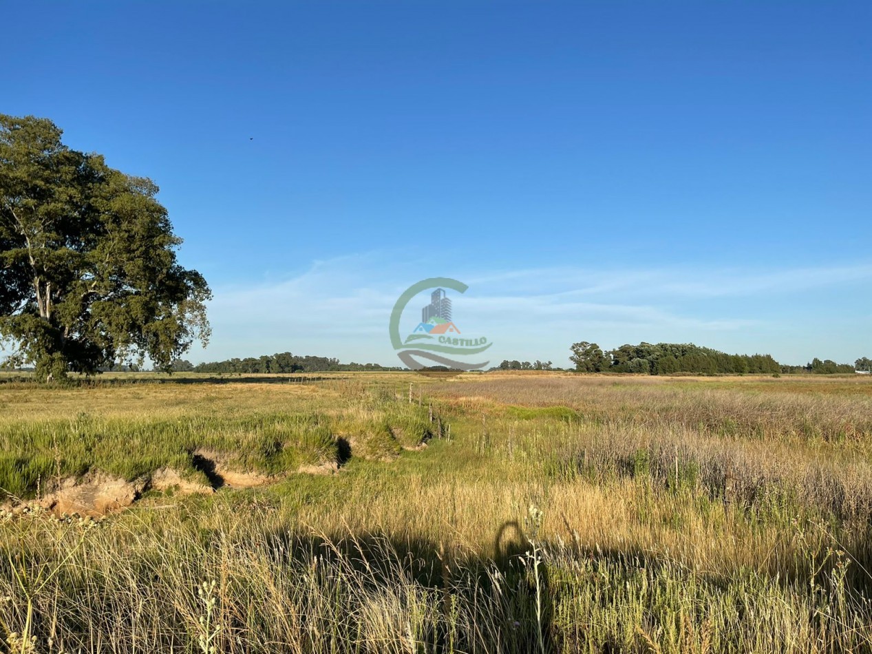 18 ha Mixtos - Pedernales