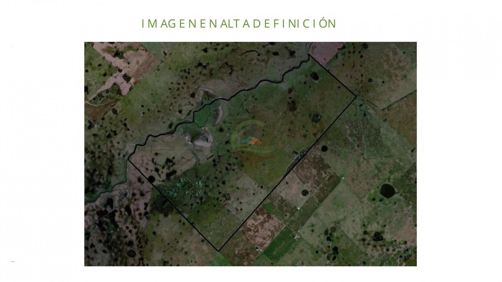 1184 ha Ganadero - Las Flores