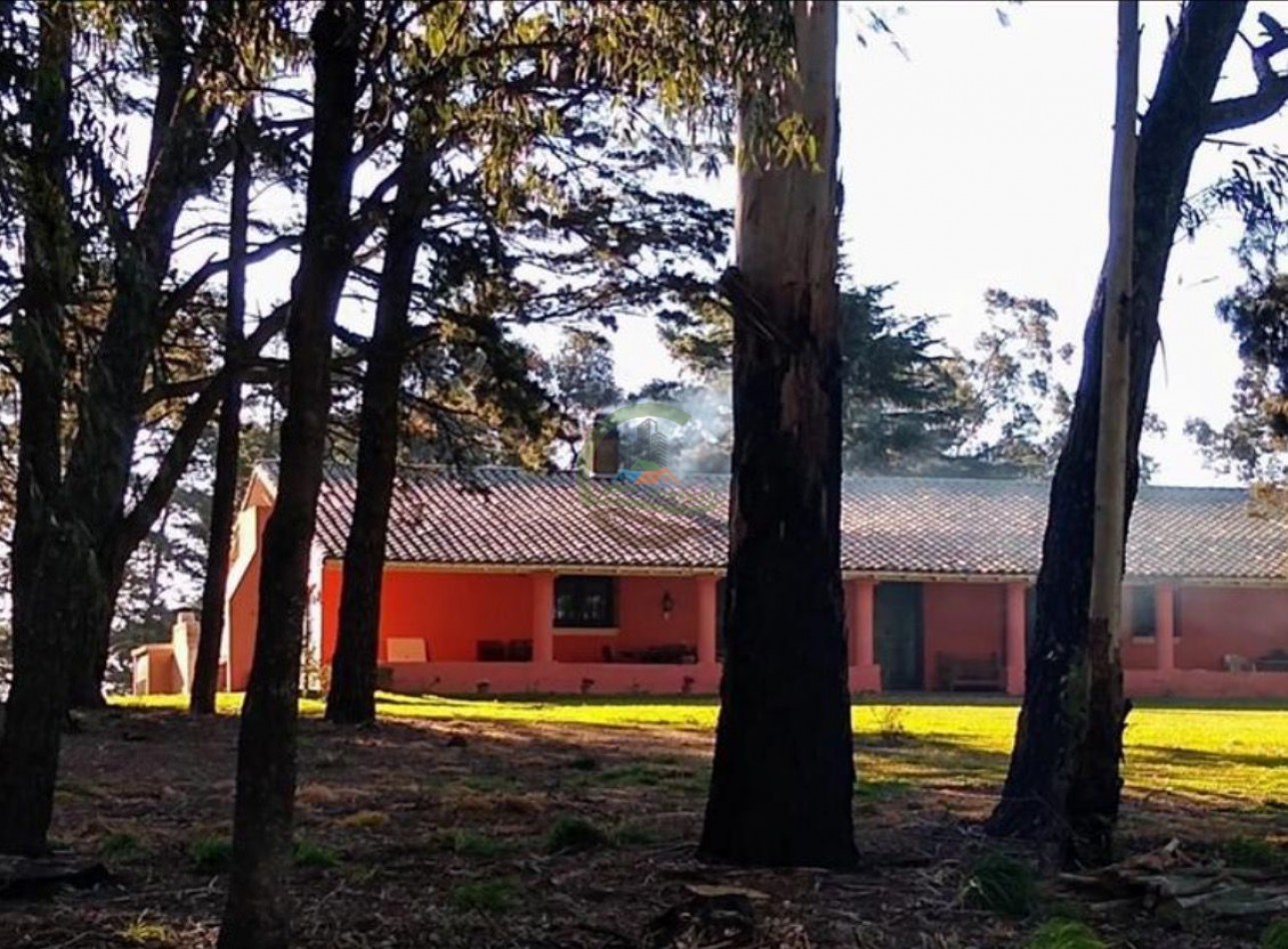 850 HA Agricolas - Tandil