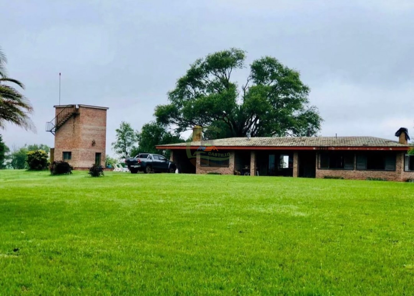 3900 ha Mixtas - La Carlota
