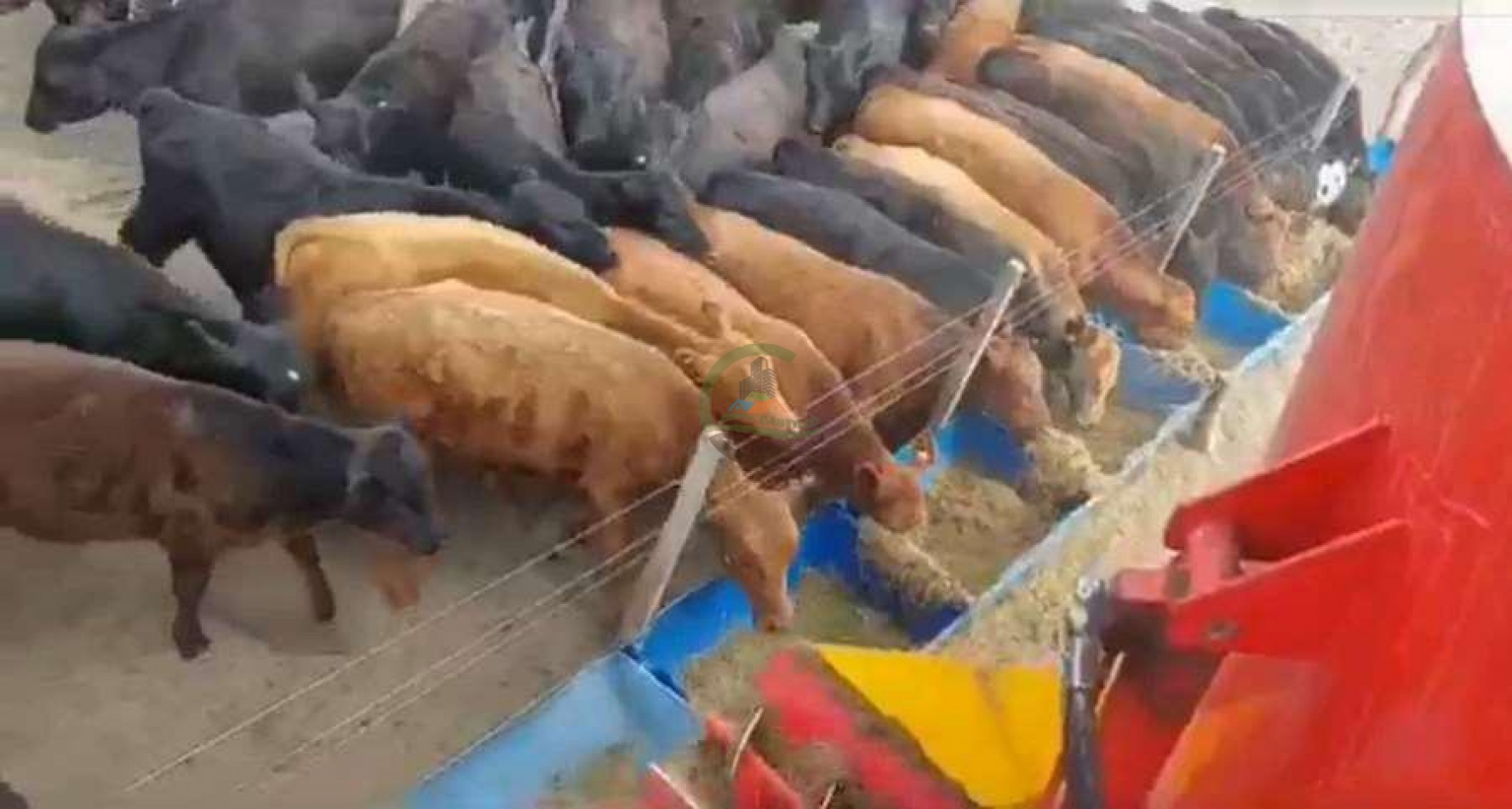 2417 Ha Ganadero (Feedlot) - Gral Alvear - Mendoza