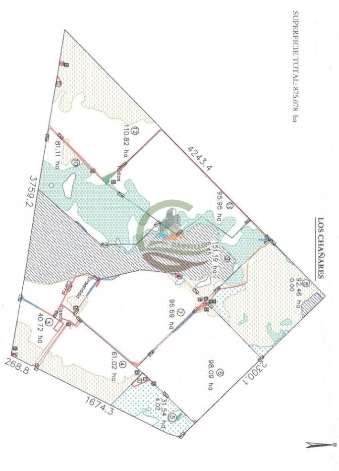 875 Ha Mixto - Carlos Tejedor