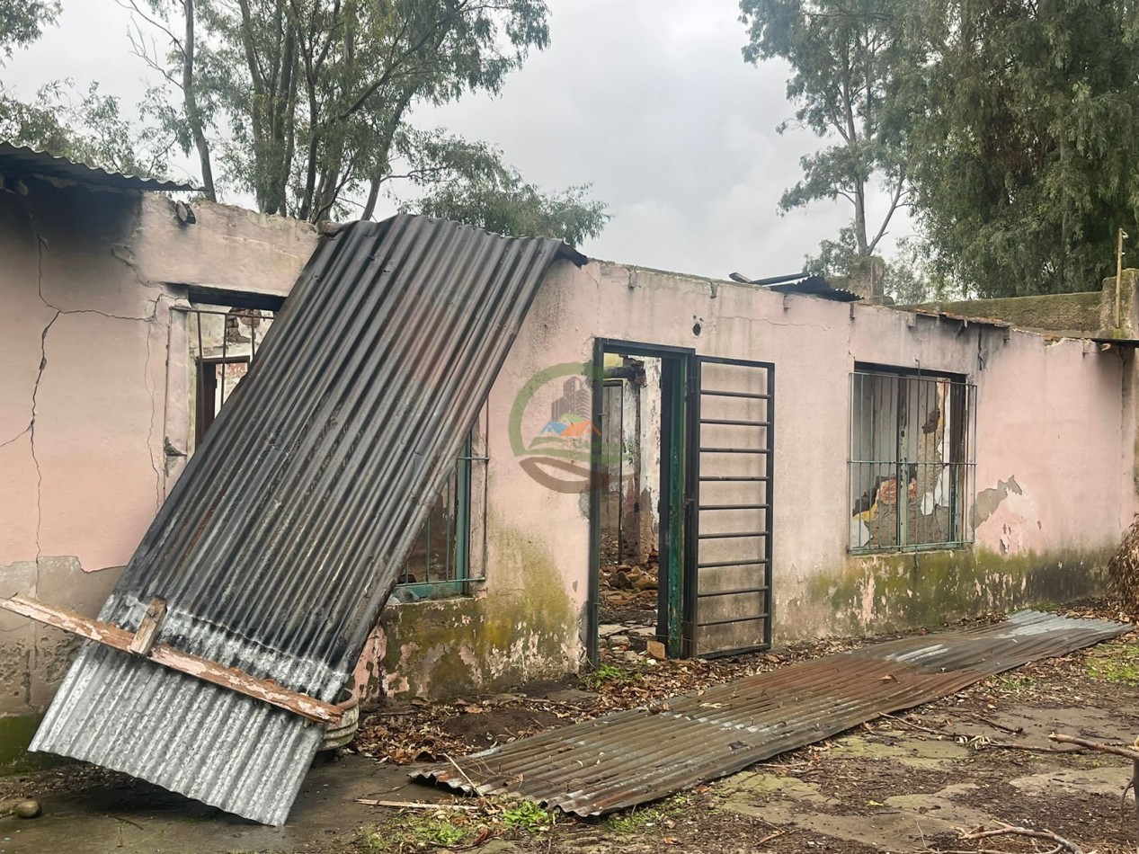 47 ha Ganadera - Olavarria