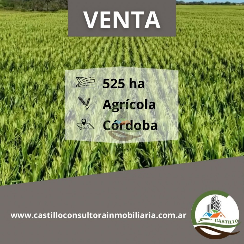 525 ha Agricola - Cordoba