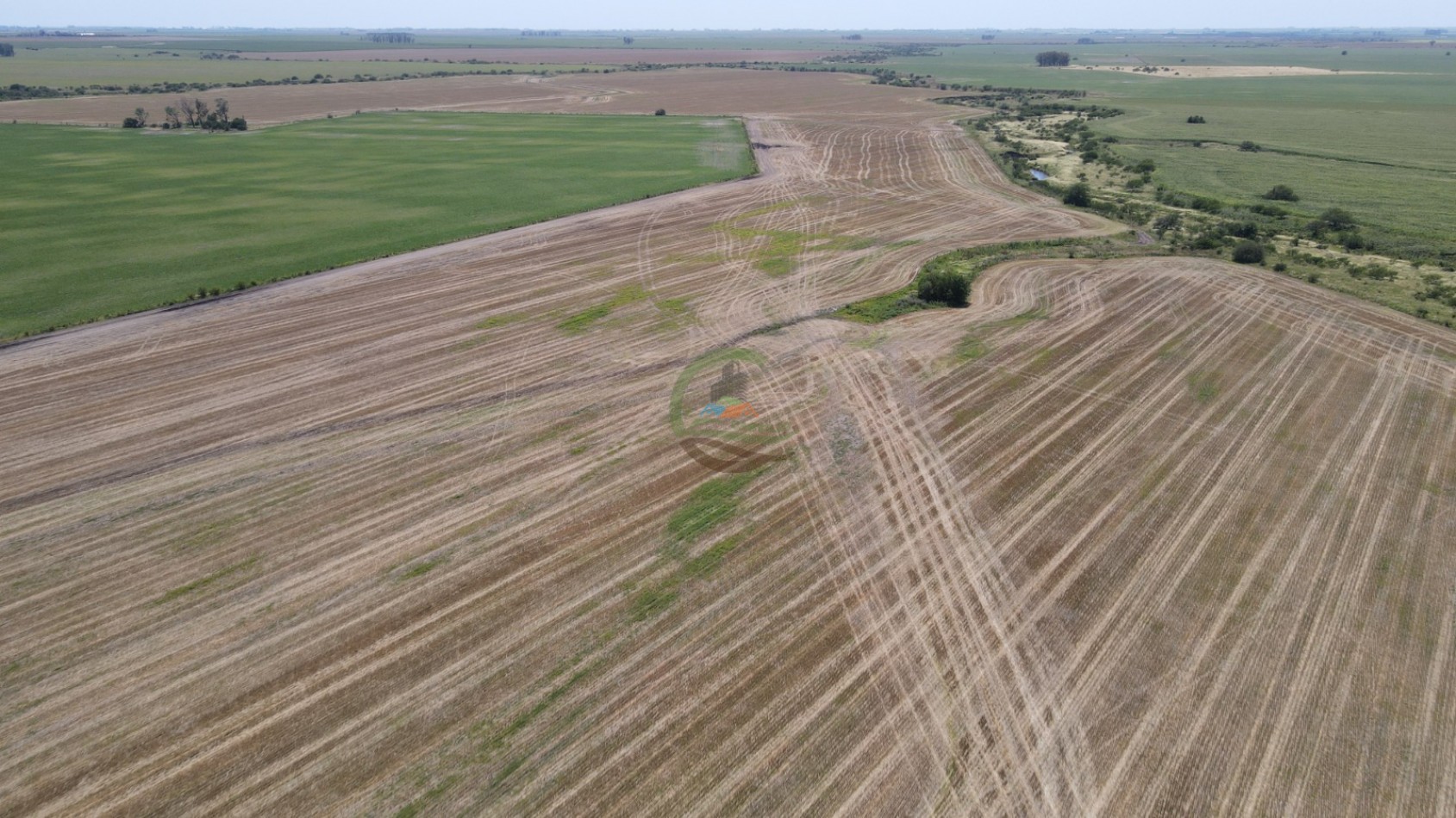 161 Ha Agricolas - Irazusta - Entre Rios