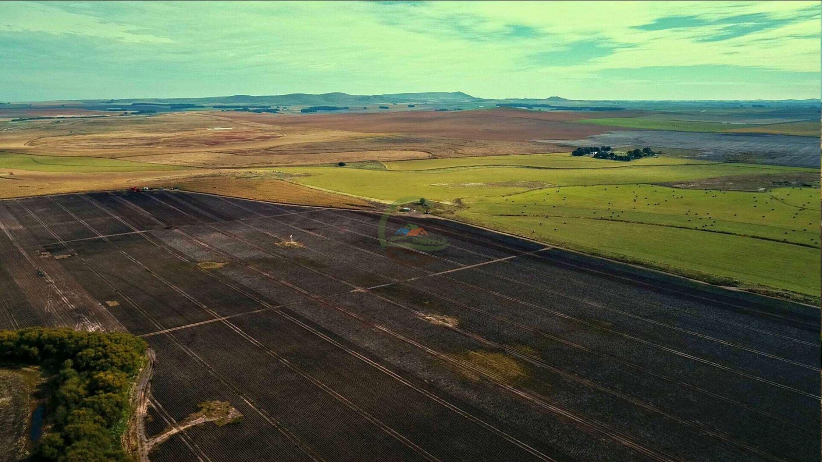 1007 Ha Agricolas - Tandil