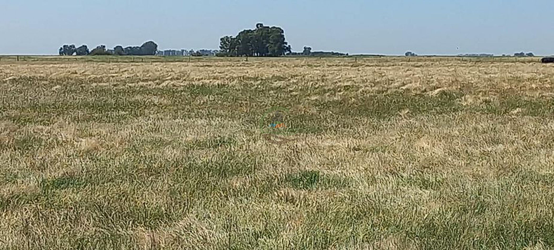 120 Ha Ganadero - Santa Isabel - Gral Alvear