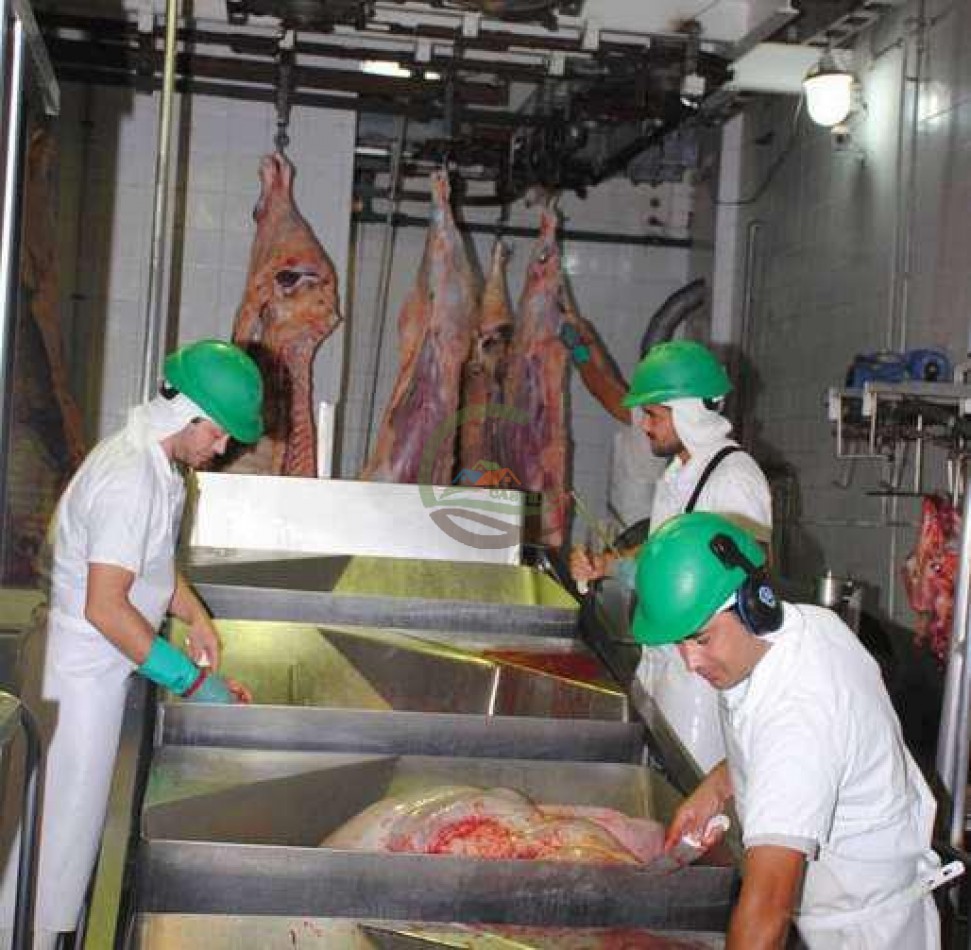 Frigorifico - con feedlot- Exportadora - La Adela - La Pampa