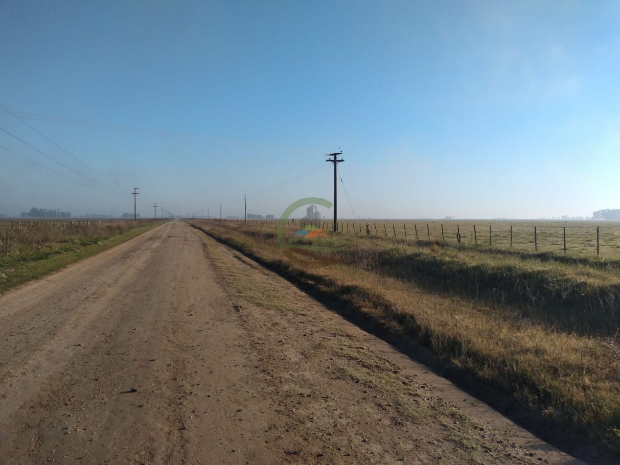200 ha Mixtas - Gral Alvear