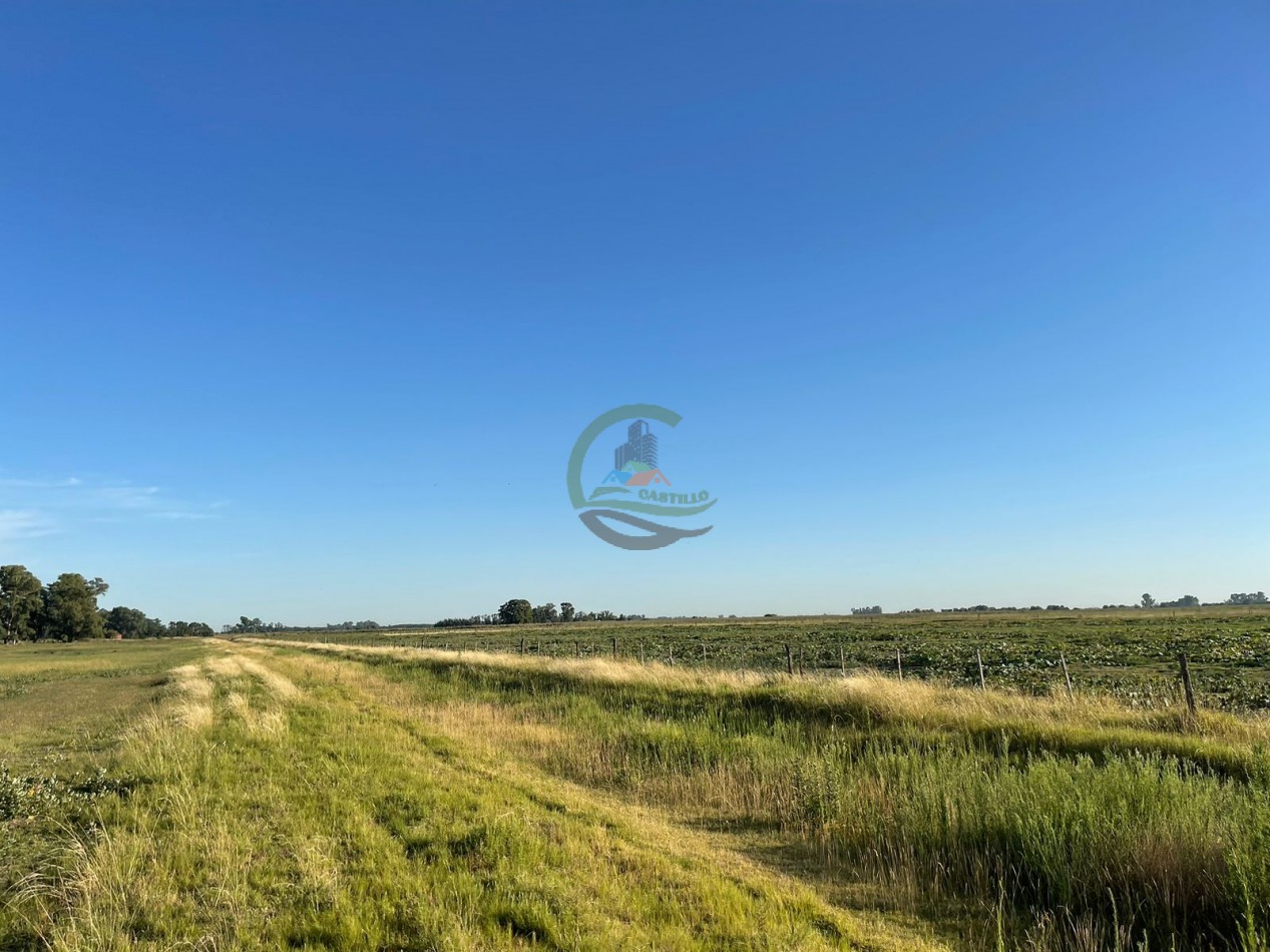 18 ha Mixtos - Pedernales