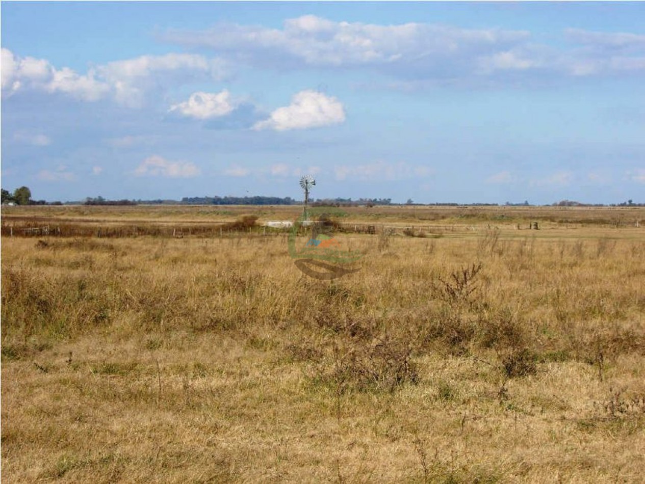 1320 Ha Ganadero - Dolores