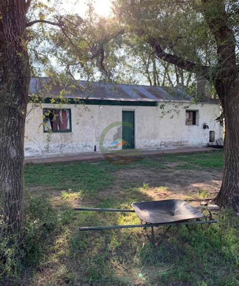 3900 ha Mixtas - La Carlota