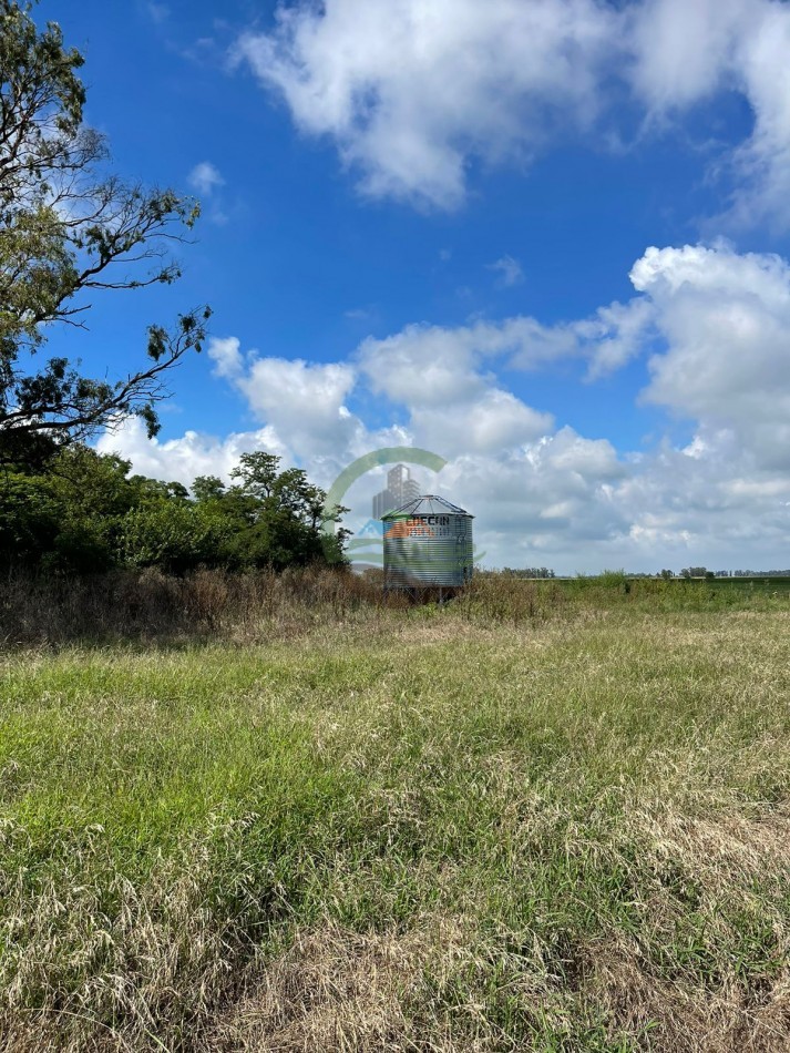 84 ha mixta - Bolivar