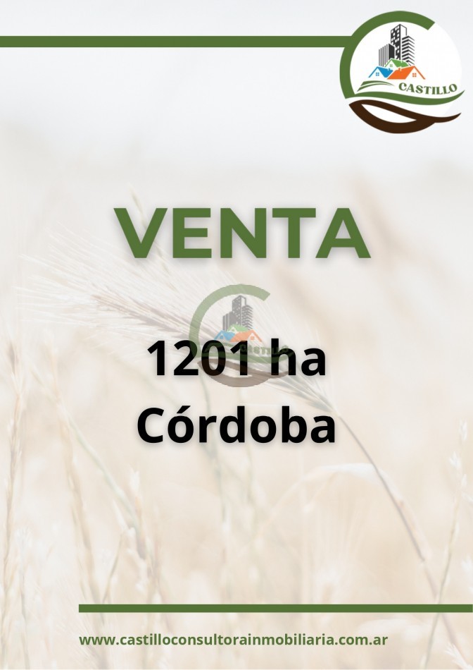 1201 ha mixtas - cordoba