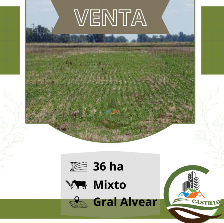 36 ha mixtas . general alvear