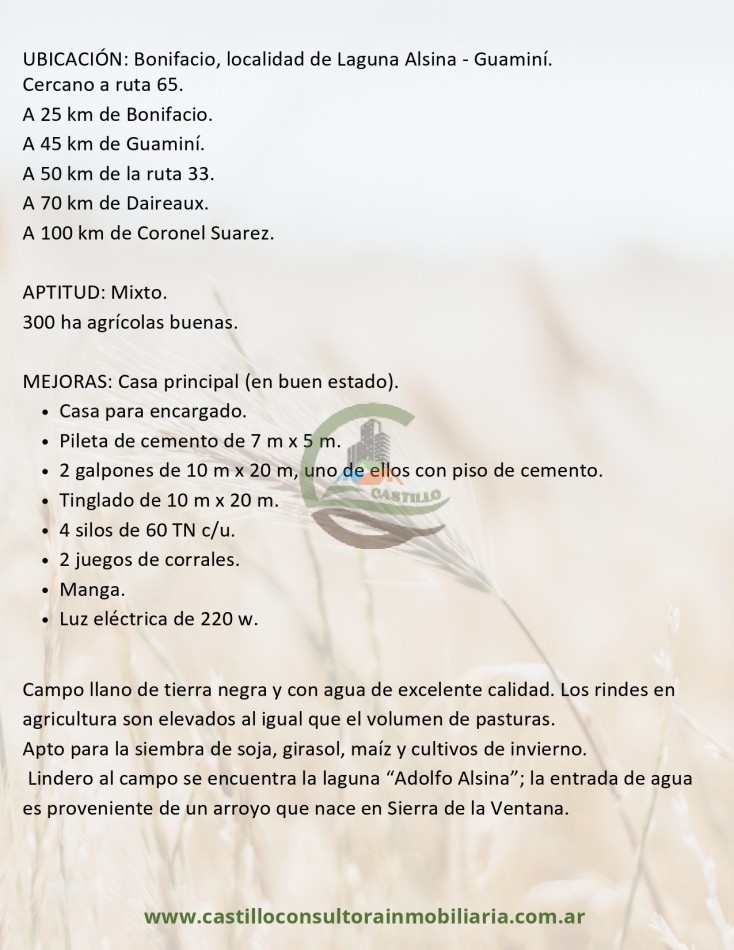 500 ha mixtas - guamini