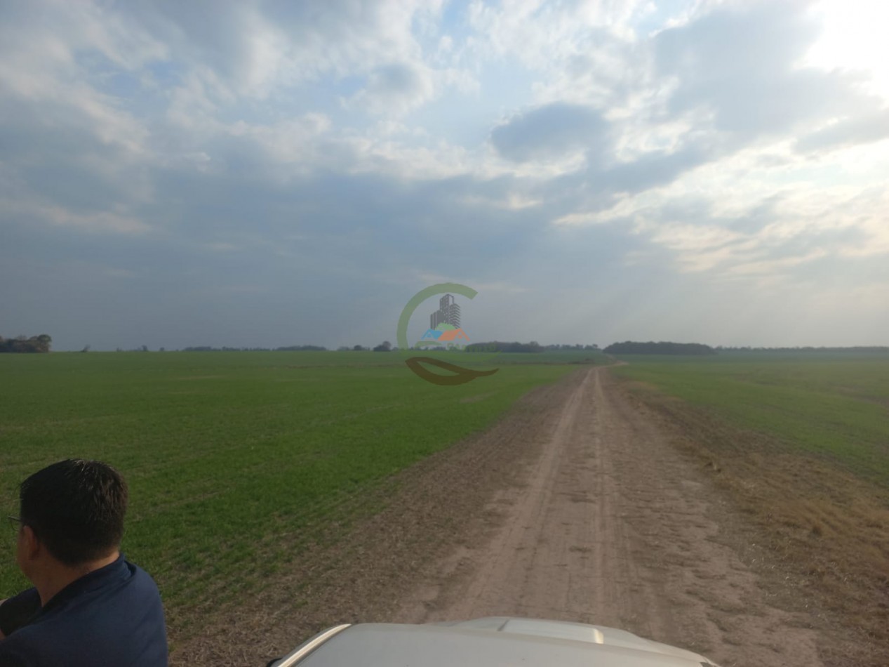 709 Ha Agricolas - San Justo - Santa Fe