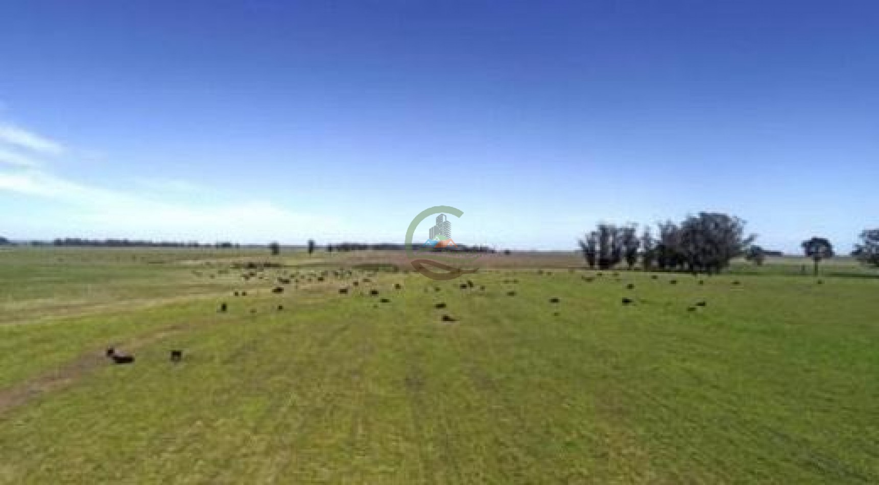 415 Ha Mixtas - Mar Chiquita