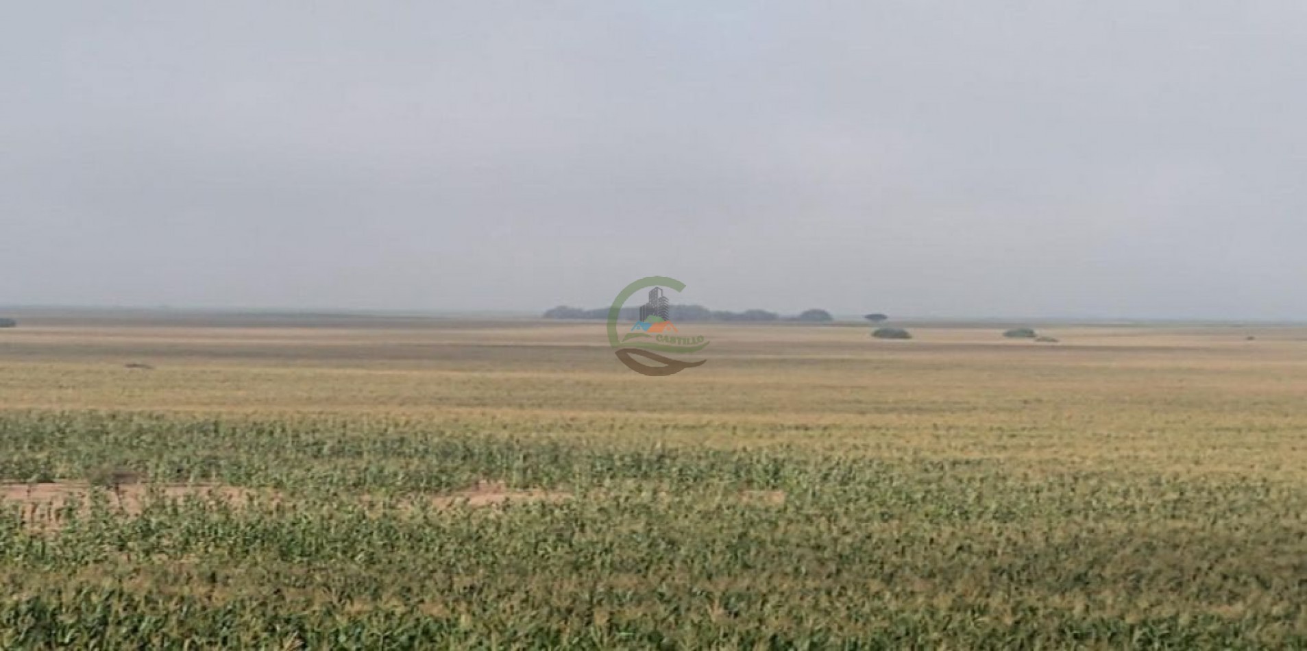 4372 ha Agricolas - San Luis