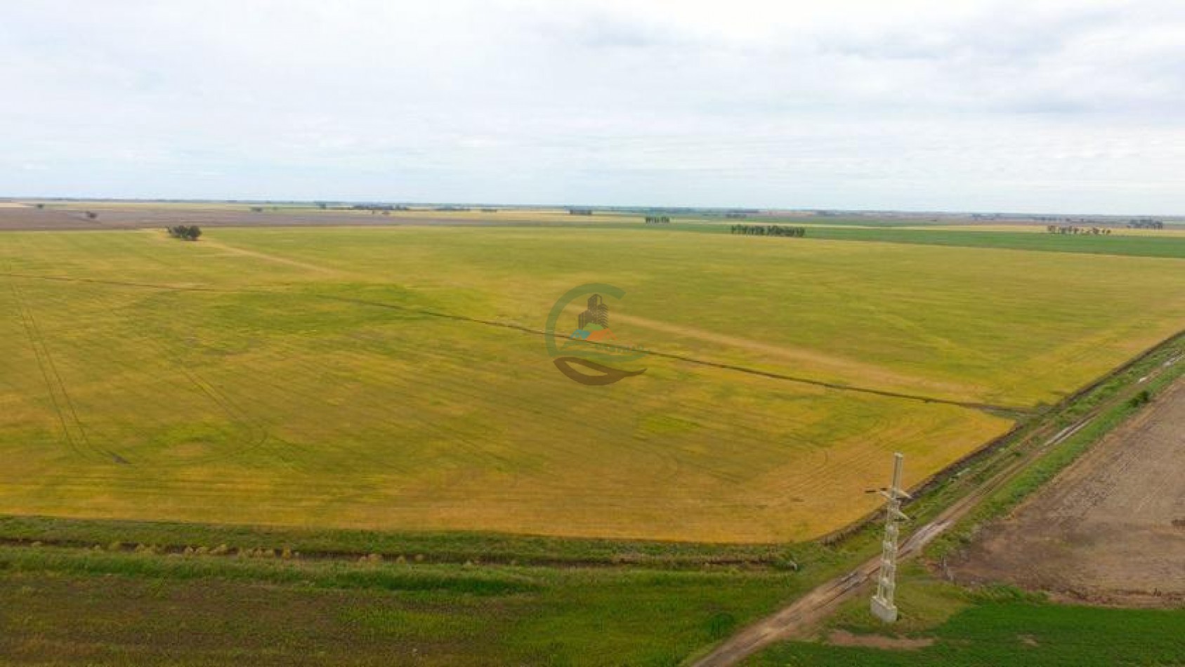 800 Ha Mixto San Francisco - Cordoba