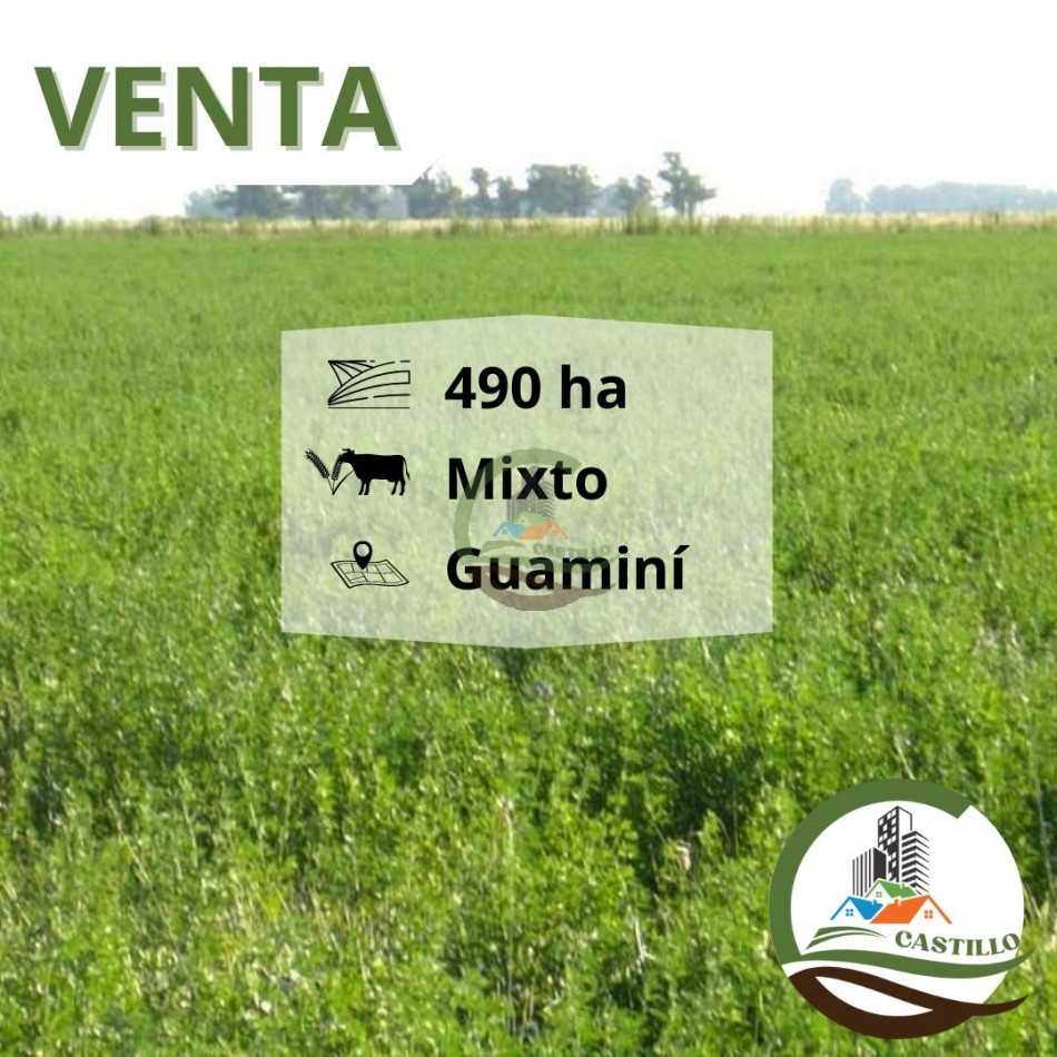 500 ha mixtas - guamini