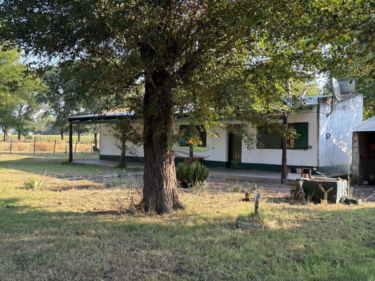 1698 ha Mixto - Paula - Bolivar