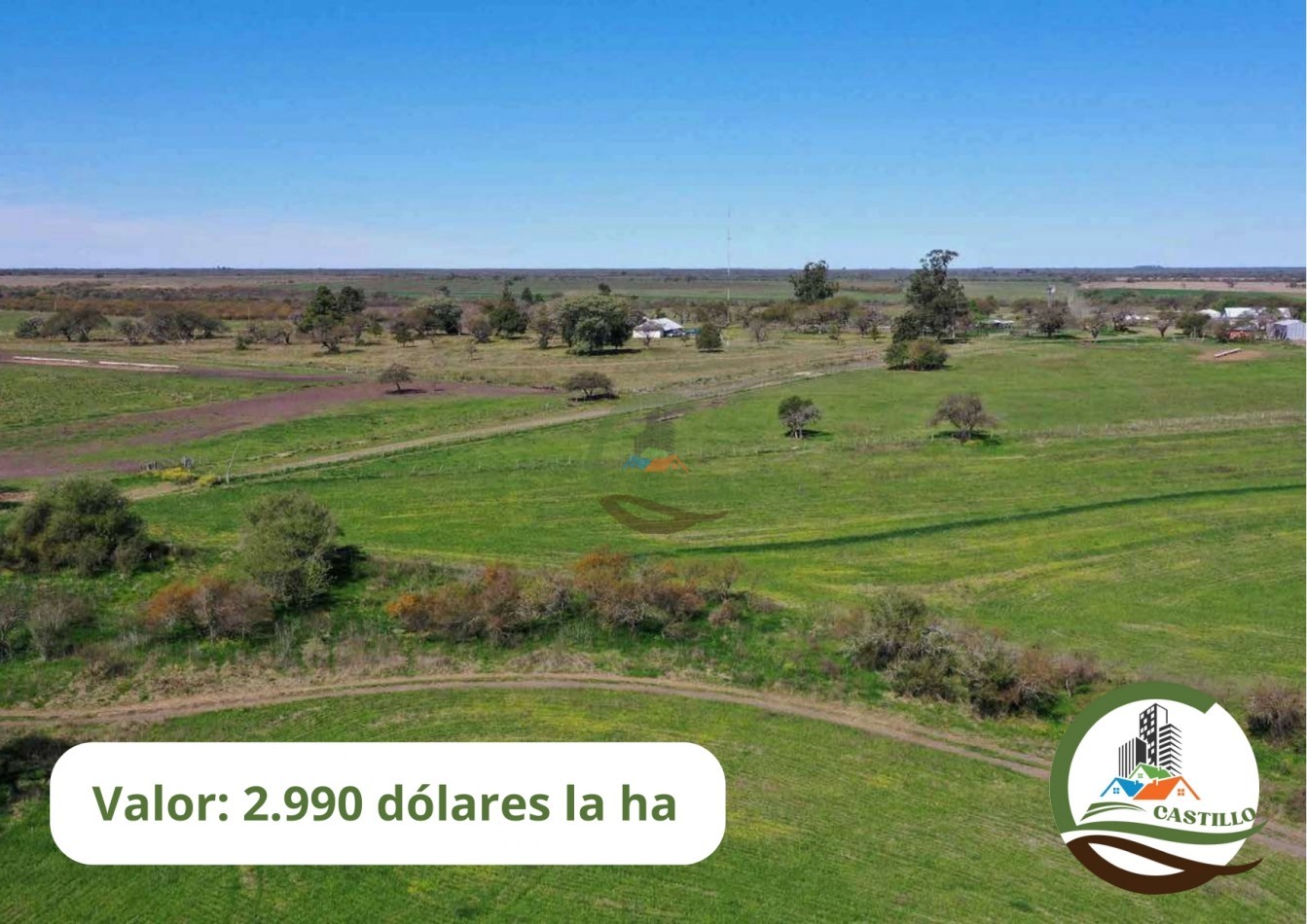 2658 ha Mixto - Entre Rios