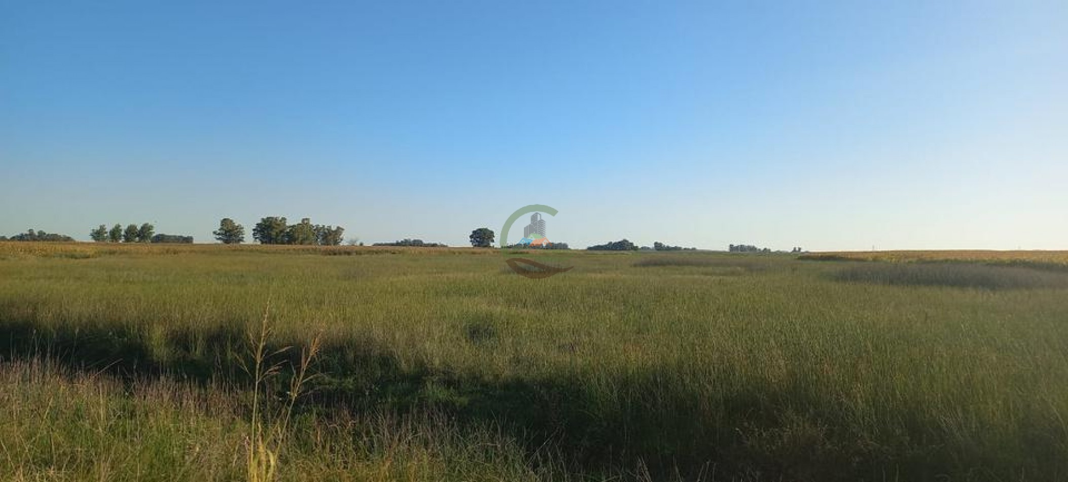 120 Ha Mixto - Urdampilleta - Bolivar
