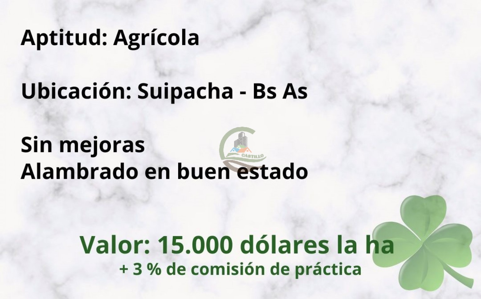 29 ha agricolas - suipacha