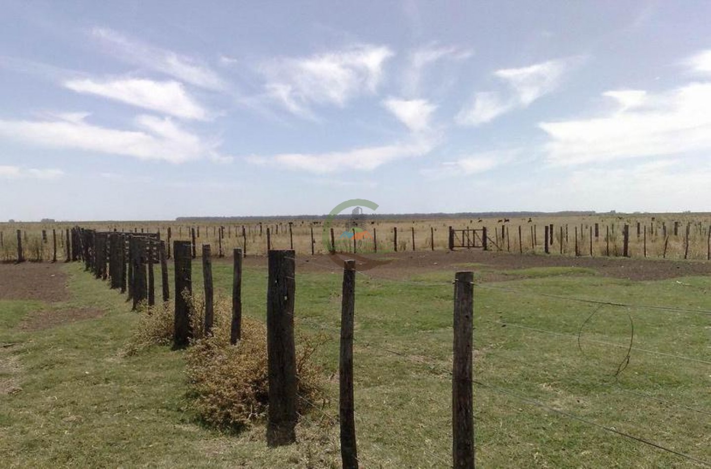 372 Ha Ganadero - Tapalque