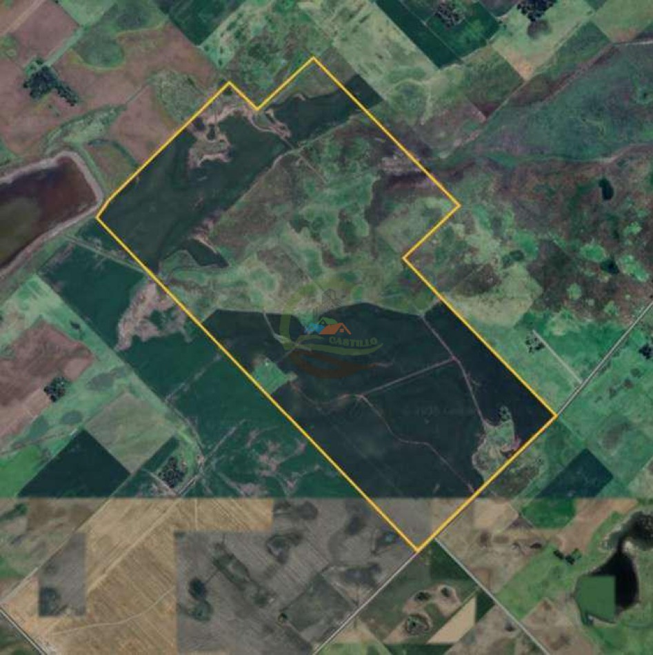 639 Ha Mixto - Urdampilleta - Bolivar
