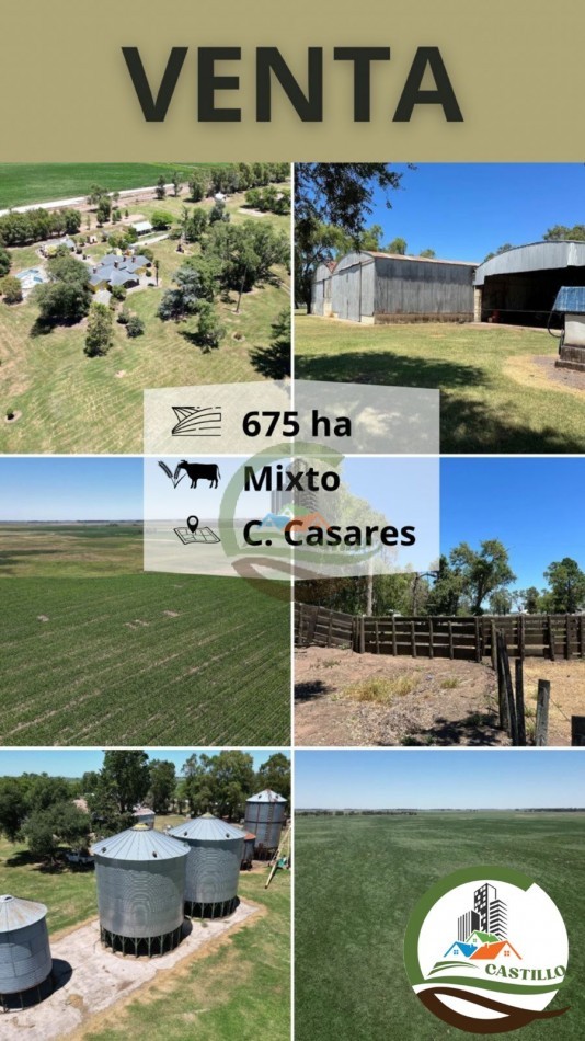 675 ha Mixtas - Carlos Casares