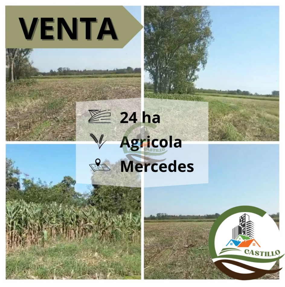 24 ha agricolas - mercedes