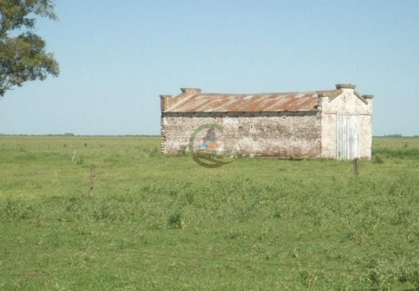 900 ha Ganadera - Tapalque 
