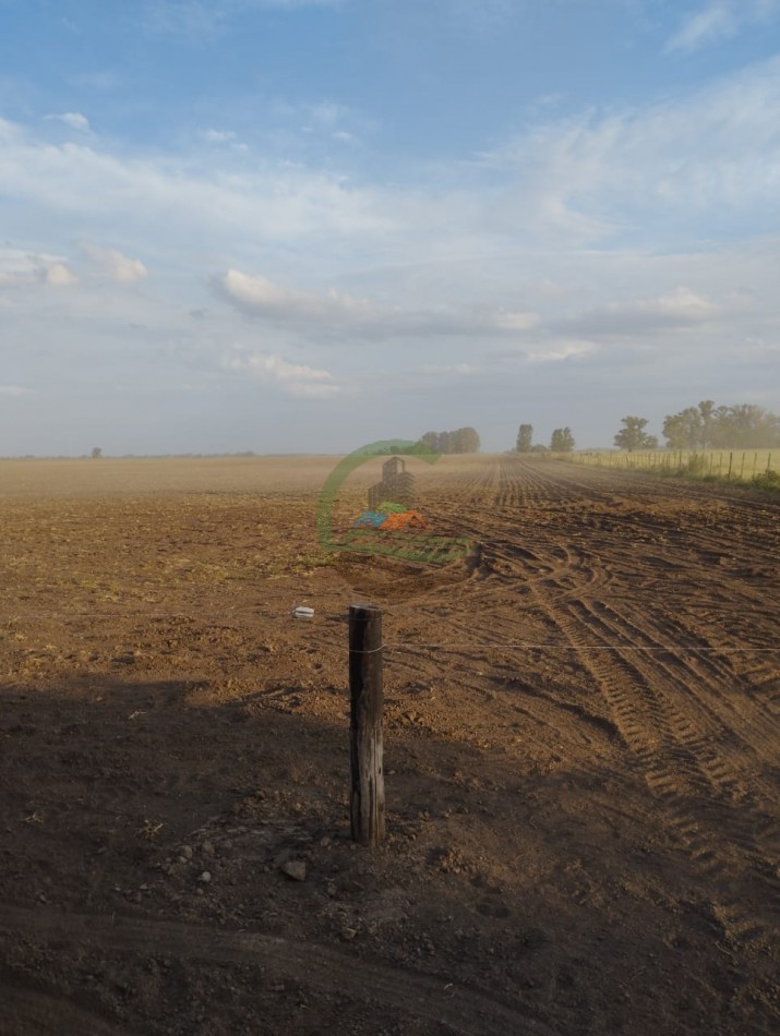 256 ha Mixto - Saladillo