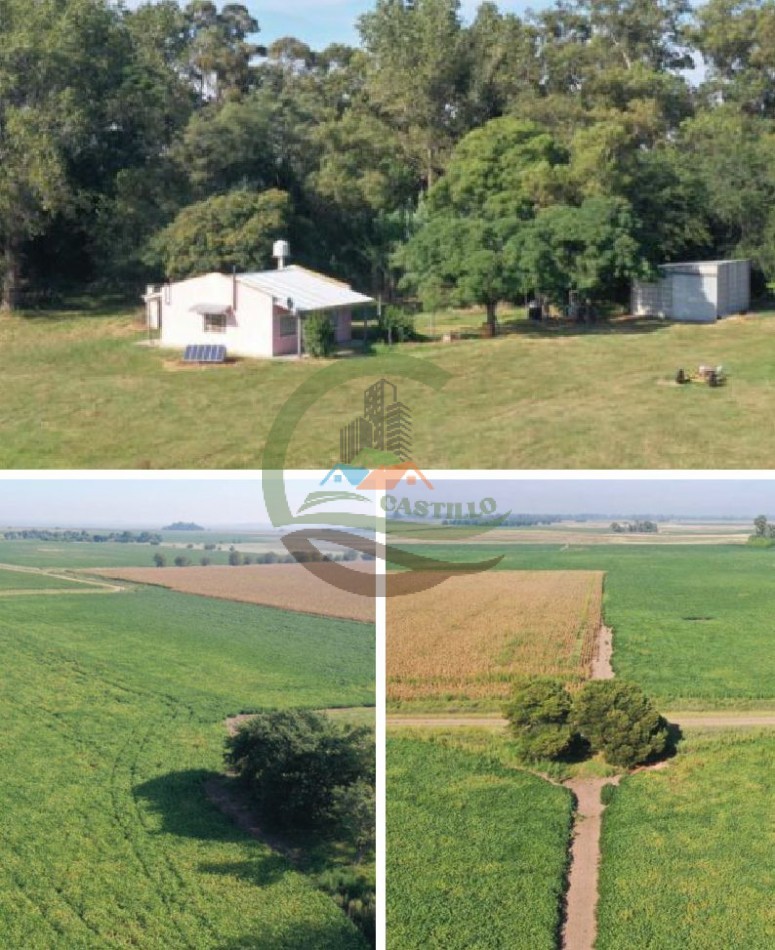 55 ha Agricolas - Saladillo