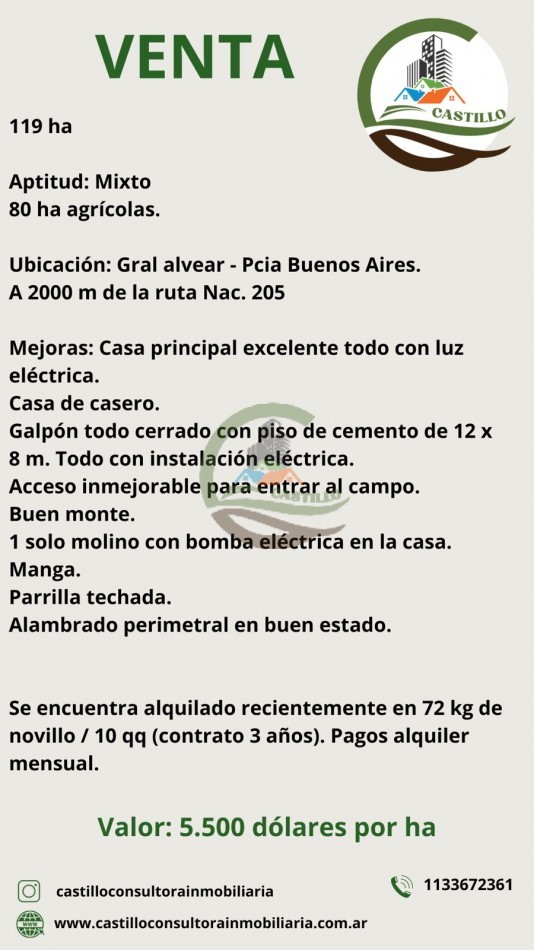 119 ha MIxtas - Gral Alvear
