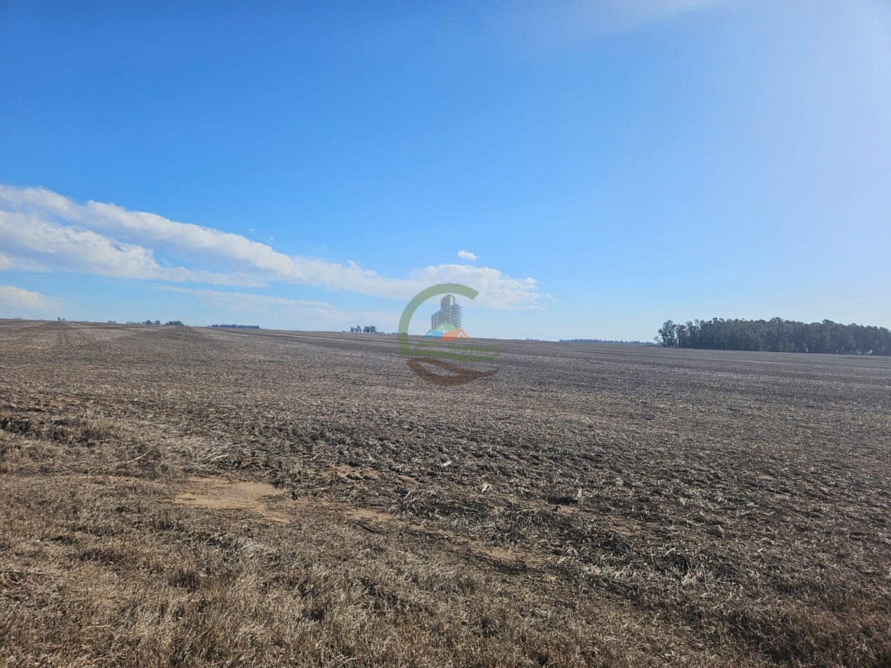 797 ha Agricolas - Bolivar