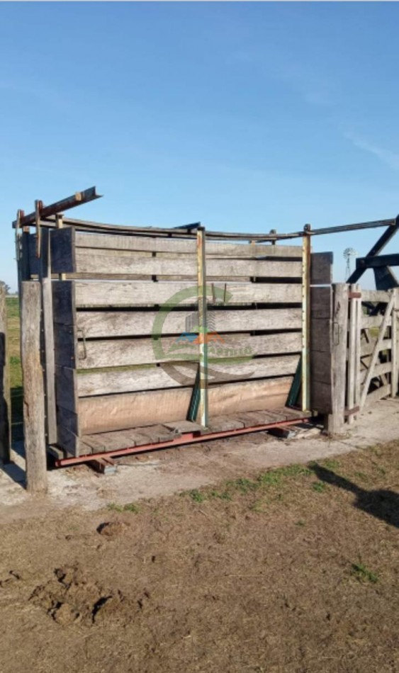 200 ha MIxtas . Tapalque 