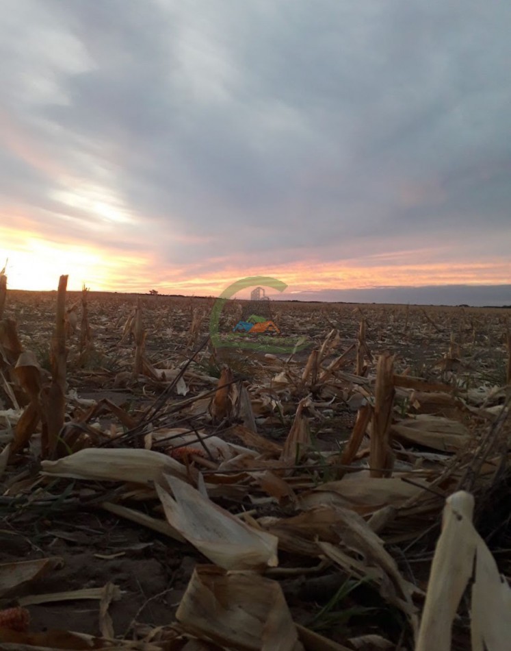 8600 HA MIxtas - San Luis